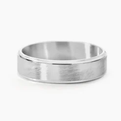 Alliance Sudem Ruban Plat Argent Blanc