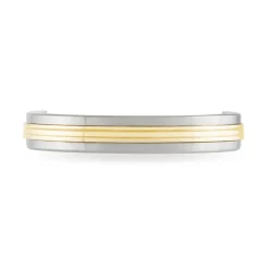 Alliance 1 Anneau Raye Ruban Plat Or Bicolore