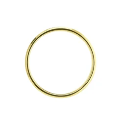 Alliance Loina Ruban Plat Or Bicolore