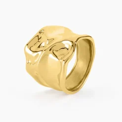 Bague Ecorsia Acier Jaune