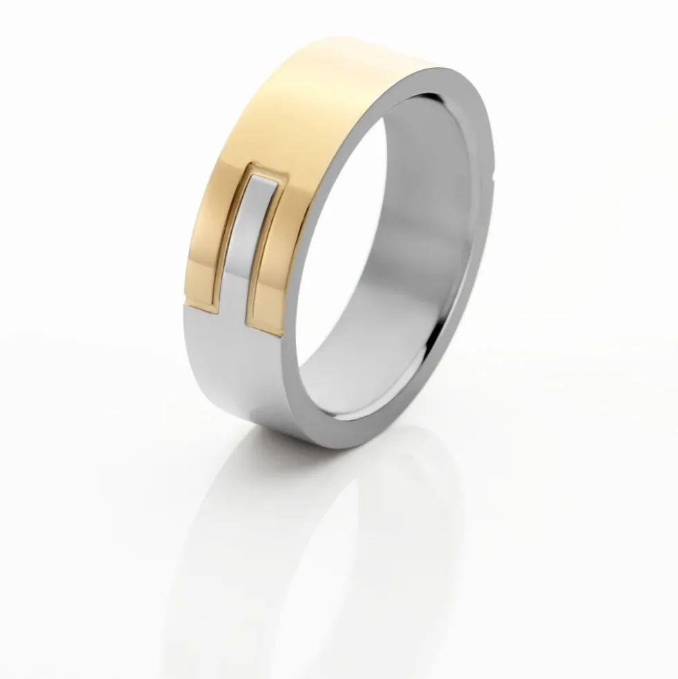 Bague Phebus Him Acier Bicolore