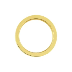 Bague Phebus Him Classique Acier Jaune