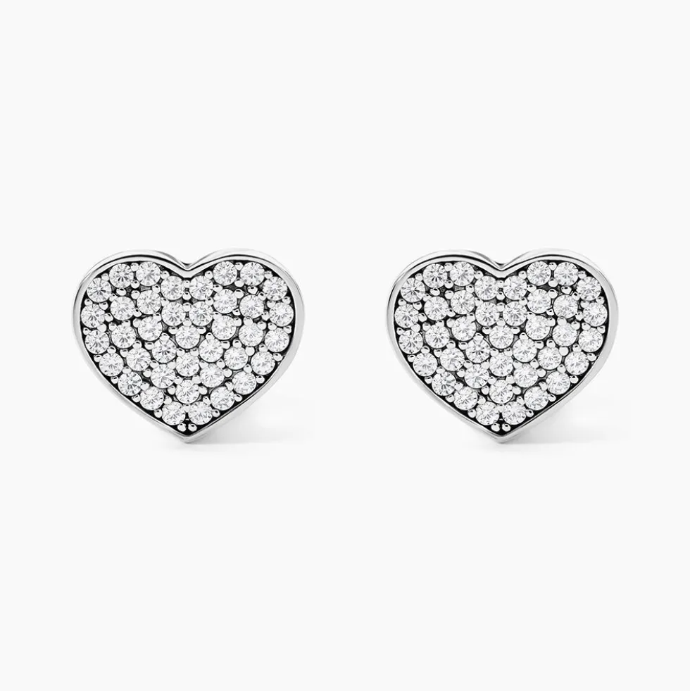Boucles D'oreilles Puces Darwin Argent Blanc Oxyde