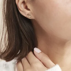 Boucles D'oreilles Puces Plaqué Or Jaune Amato Oxydes De Zirconium