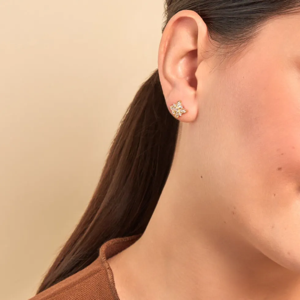 Boucles D'oreilles Puces Vaiana Plaqué Or Jaune Oxyde De Zirconium