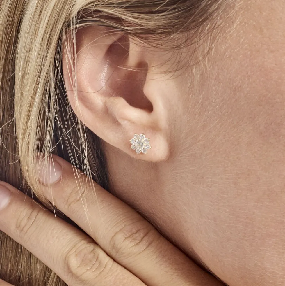 Boucles D'oreilles Or Jaune Darice Oxydes