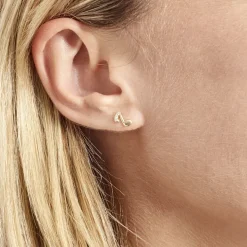 Boucles D'oreilles Or Jaune Xavierine Oxydes