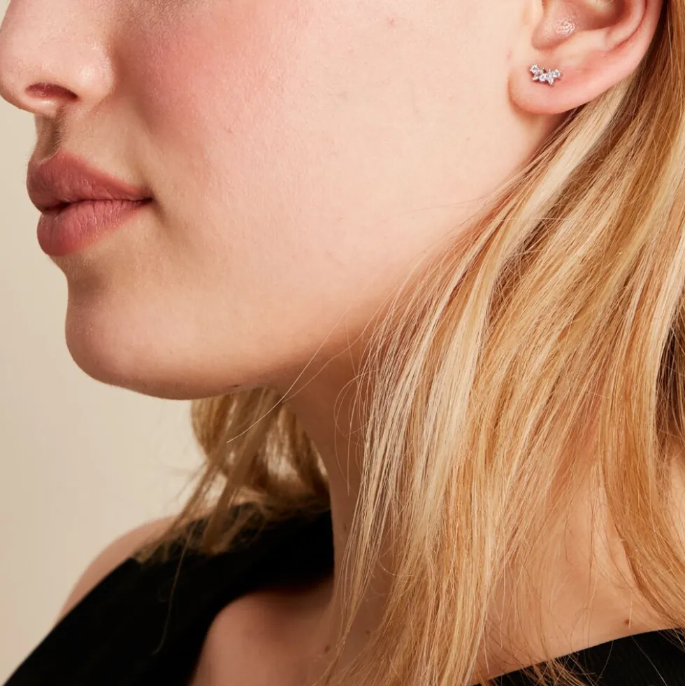 Boucles D'oreilles Puces Argent Eden Oxyde De Zirconium