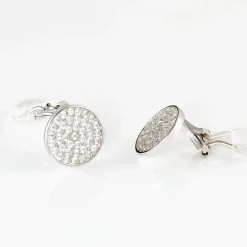 Boucles D'oreilles Puces Darwin Argent Blanc Oxyde