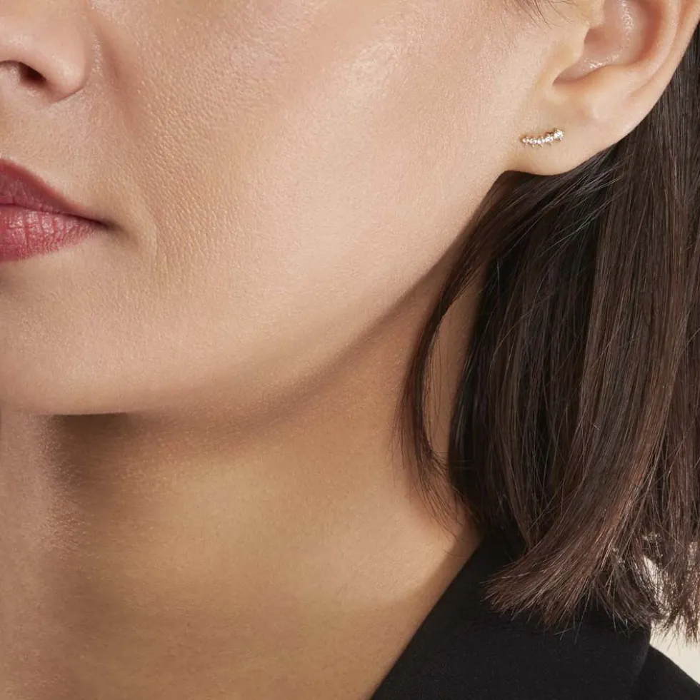 Boucles D'oreilles Puces Delia Or Jaune Oxyde De Zirconium