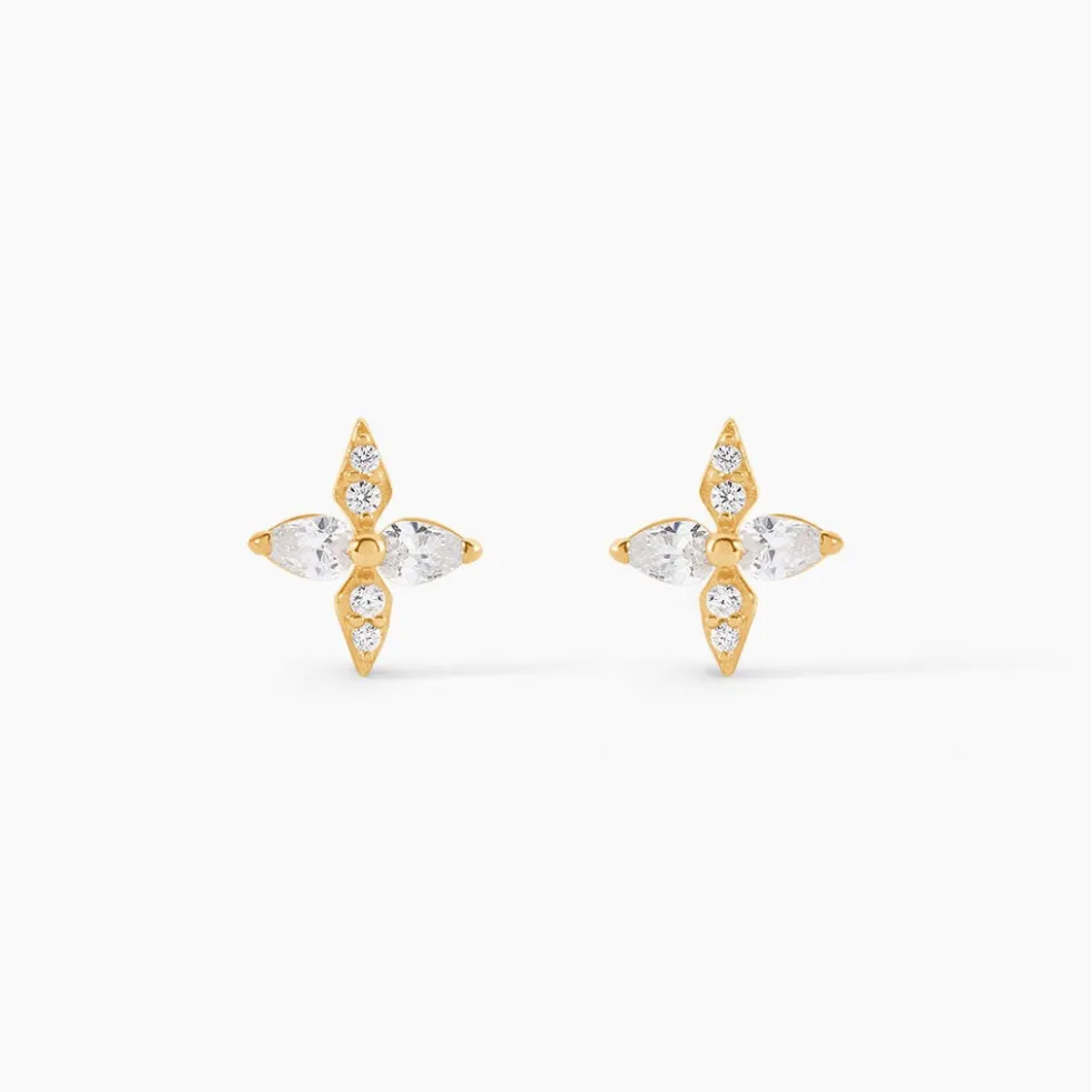Boucles D'Oreilles Puces Dirk Or Jaune Oxyde De Zirconium