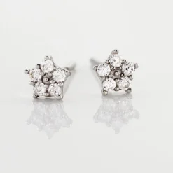 Boucles D'oreilles Puces Elais Etoile Or Blanc Oxyde De Zirconium