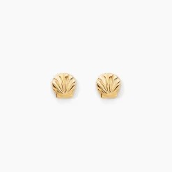 Boucles D'oreilles Puces Franzine Coquillage Or Jaune