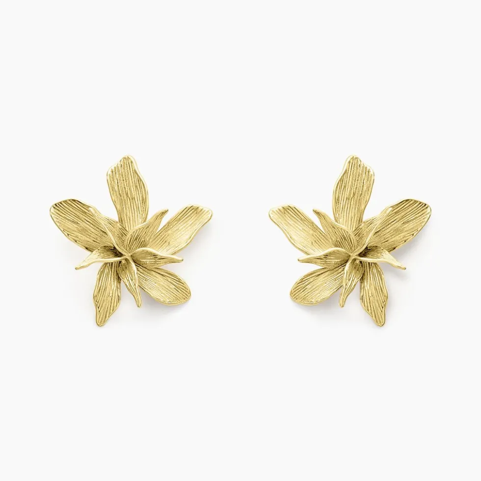 Boucles D'oreilles Puces Majorelle Acier Jaune