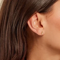 Boucles D'oreilles Puces Netuno Or Jaune Oxyde De Zirconium