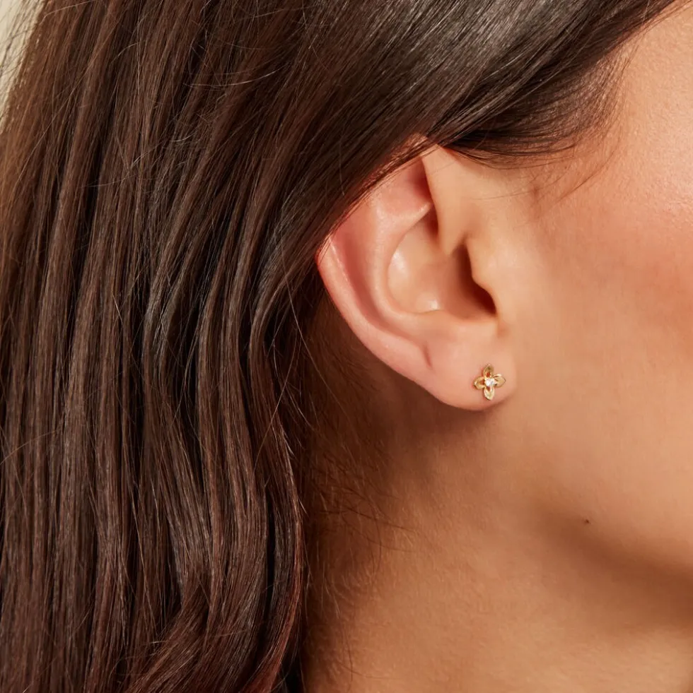 Boucles D'oreilles Puces Netuno Or Jaune Oxyde De Zirconium