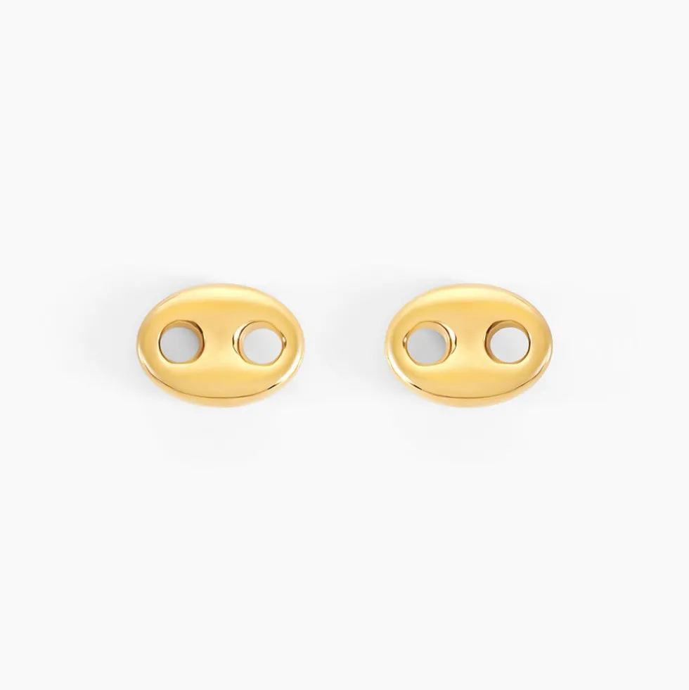 Boucles D'oreilles Puces Phebus Him Acier Doré