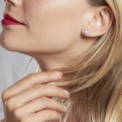 Boucles D'oreilles Puces Shanis Argent Blanc Oxyde De Zirconium