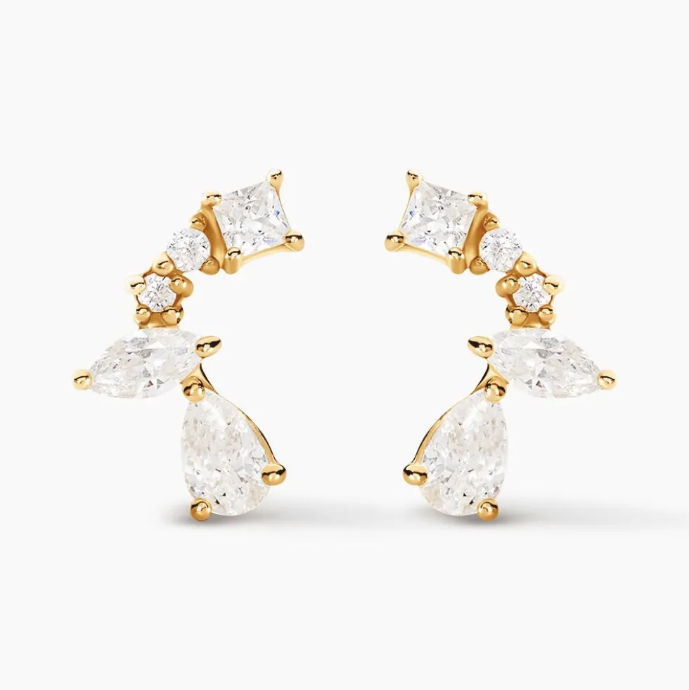 Boucles D'oreilles Puces Tyr Or Jaune Oxyde De Zirconium