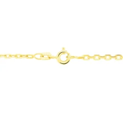 Chaîne Igoa Maille Forçat Diamantee Or Jaune