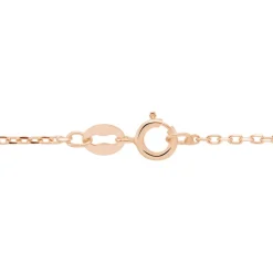 Chaîne Igoa Maille Forçat Diamantee Or Rose