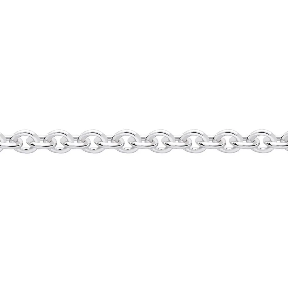 Chaîne Ilda Maille Forçat Limee Or Blanc