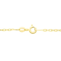 Chaîne Igoa Maille Forçat Diamantee Or Jaune
