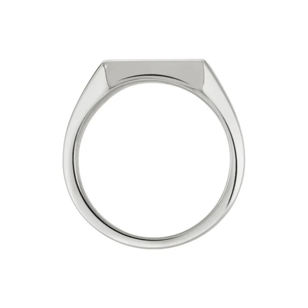 Chevaliere Acier Blanc Winebald