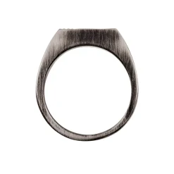 Chevalière Aidee Acier Gris