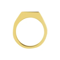 Chevalière Phebus Him Classique Acier Jaune
