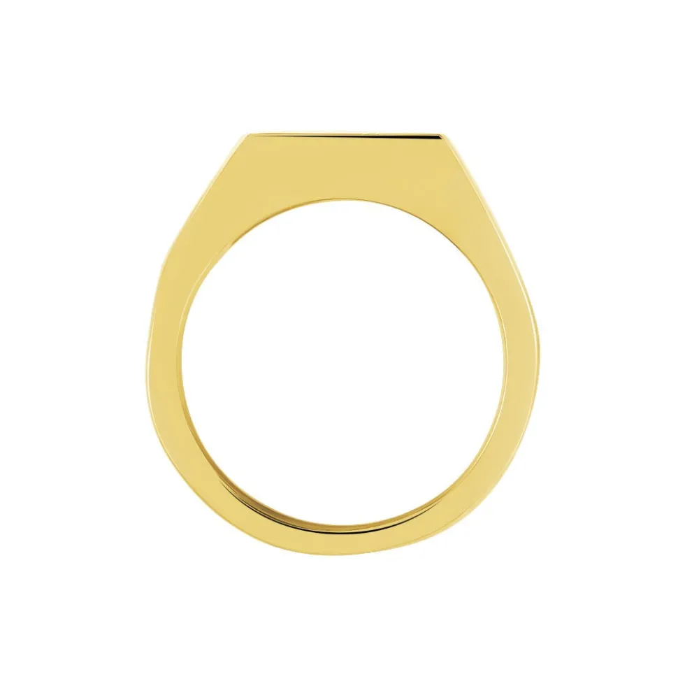 Chevalière Phebus Him Classique Acier Jaune