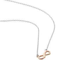 Collier Argent Bicolore Werner