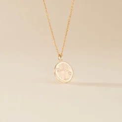 Collier Iago Plaqué Or Oxydes De Zirconium