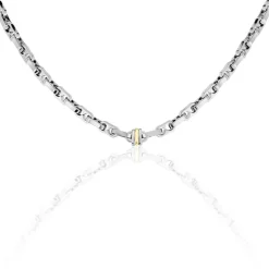 Collier Leandreae Or Acier Bicolore