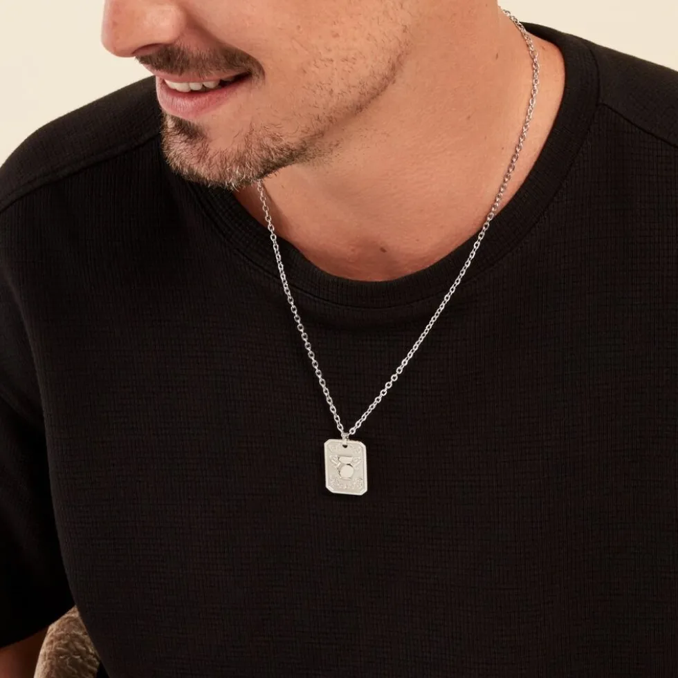 Collier Phebus Him Acier