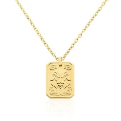 Collier Phebus Him Acier Jaune