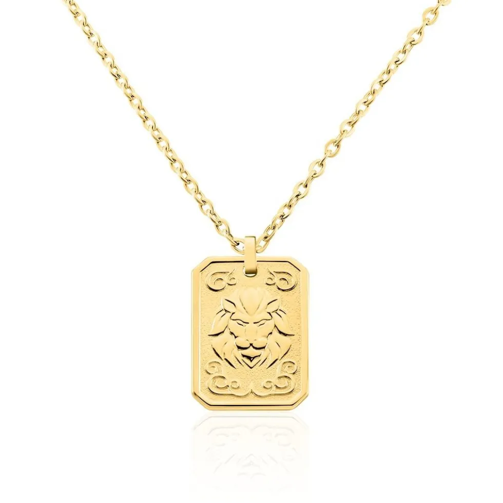 Collier Phebus Him Acier Jaune