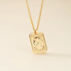 Collier Phebus Him Acier Jaune