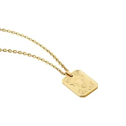 Collier Phebus Him Acier Jaune