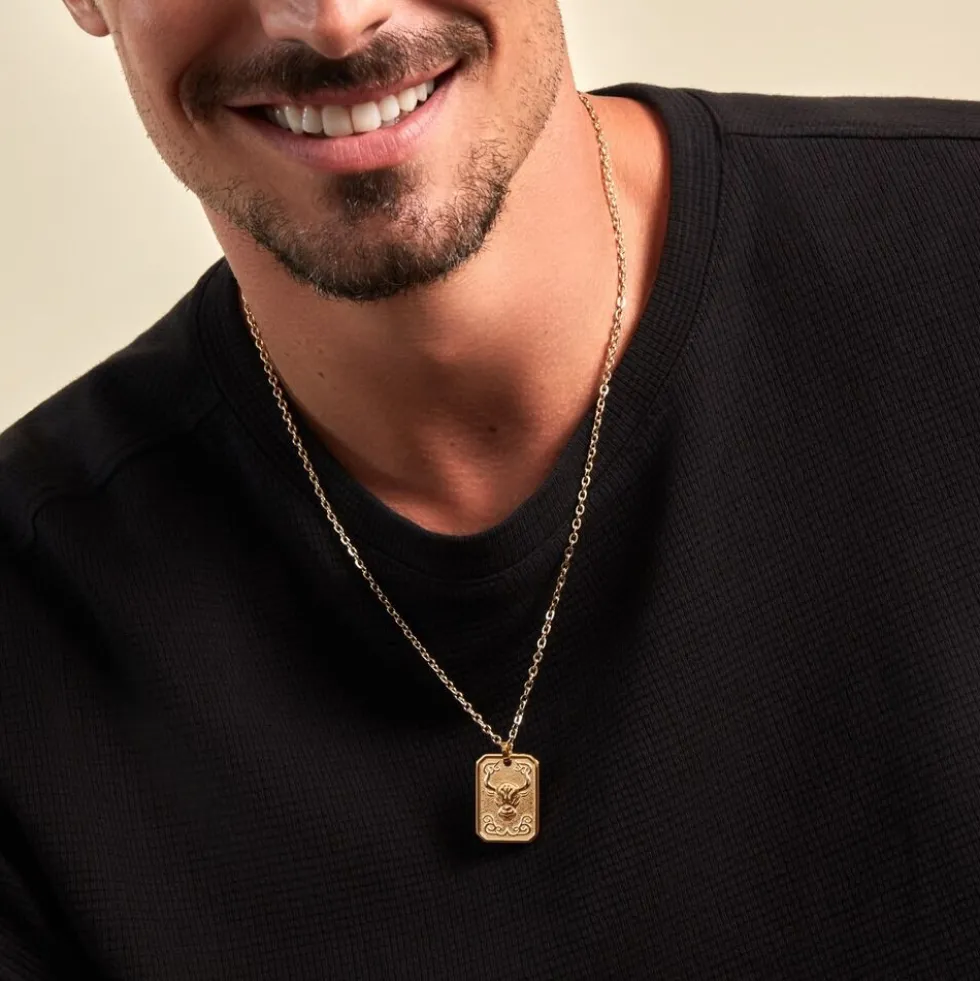 Collier Phebus Him Acier Jaune