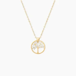 Collier Aragorn Or Bicolore