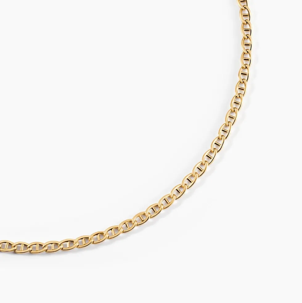 Collier Capucin Or Jaune Maille Marine Plate