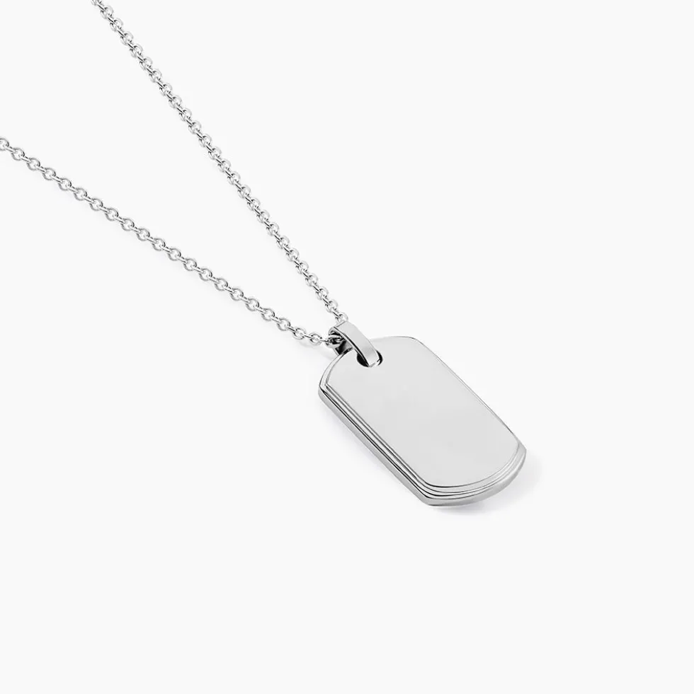 Collier Eutrope Acier Blanc