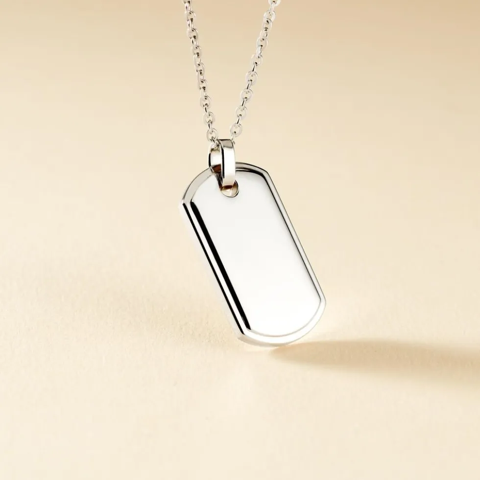 Collier Eutrope Acier Blanc