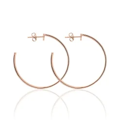 Créoles Airelle Acier Rose