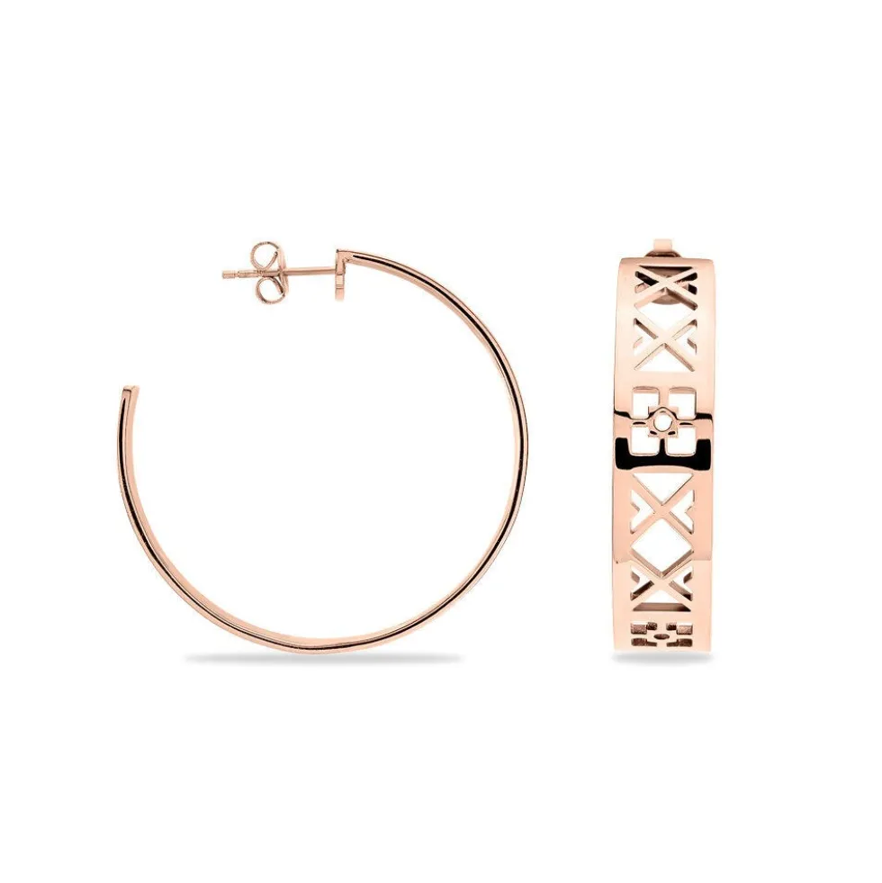Créoles Airelle Acier Rose