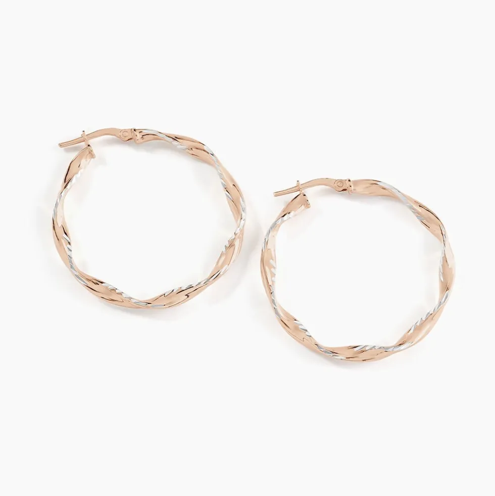 Créoles Argent Rose Alieno