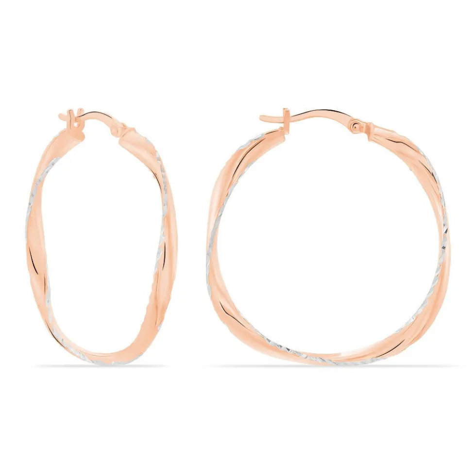 Créoles Argent Rose Alieno