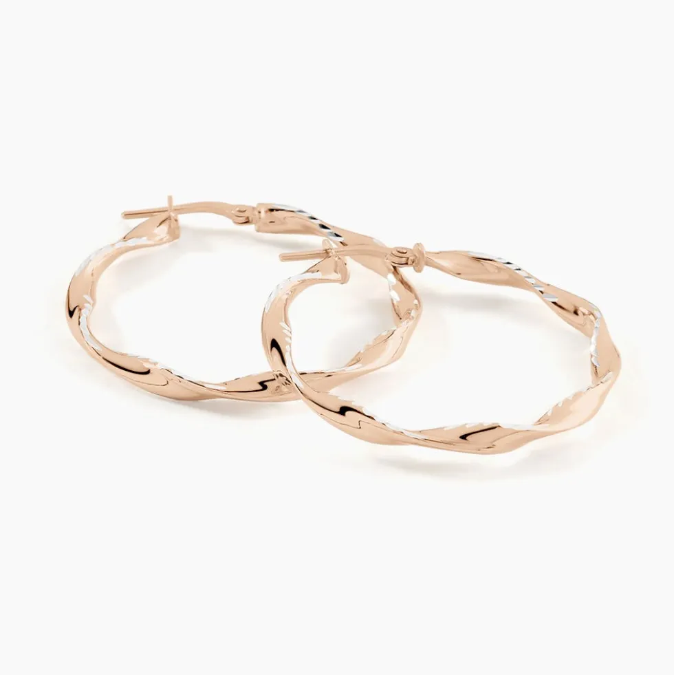 Créoles Argent Rose Alieno