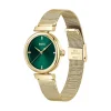 Montre Boss Rosehill Vert